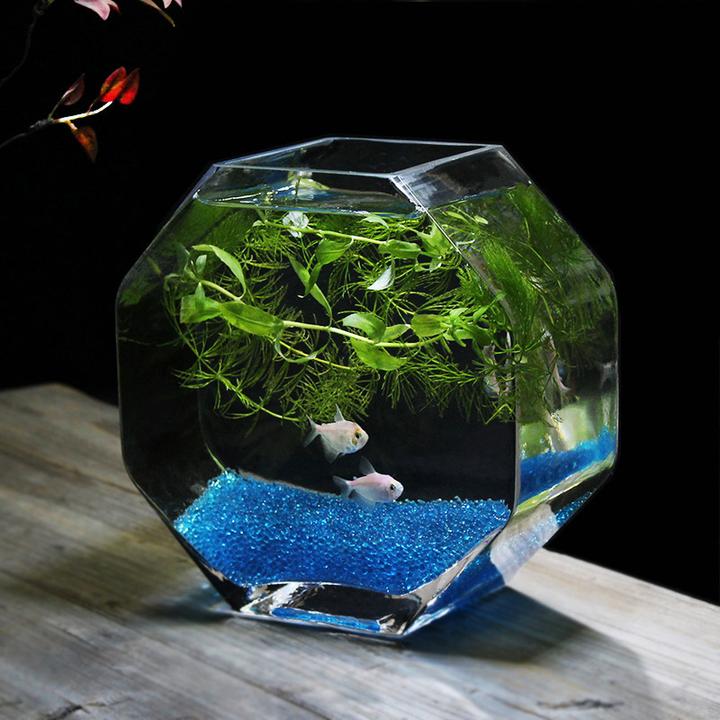 高品质美人鱼玻璃鱼缸个性创意水培花器家用玻璃缸斗鱼桌面鱼缸