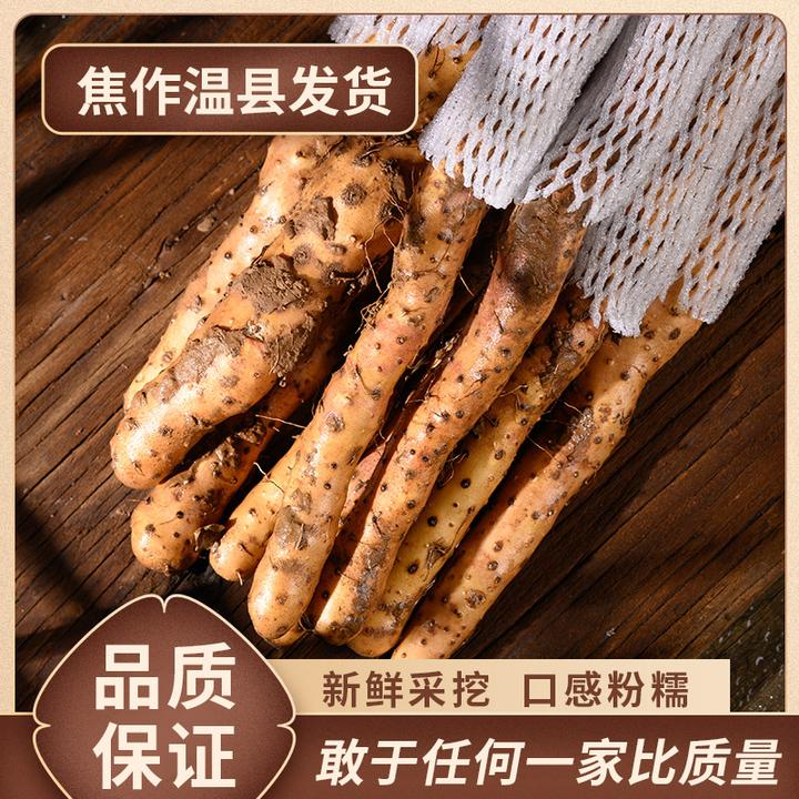 大树伯伯 河南温县垆土铁棍山药正宗怀淮山药新鲜5斤礼盒顺丰整箱