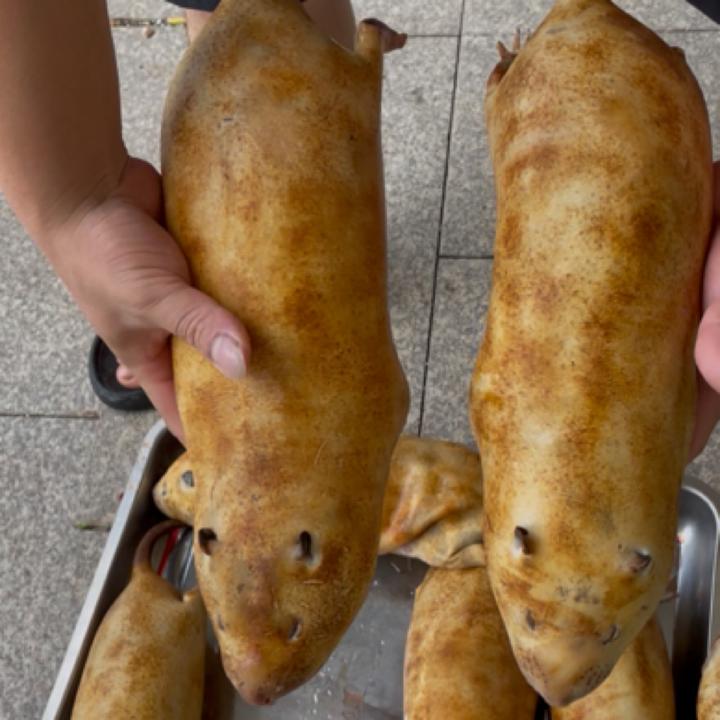 福建活宰去毛火烧养殖竹鼠老货3斤/1只