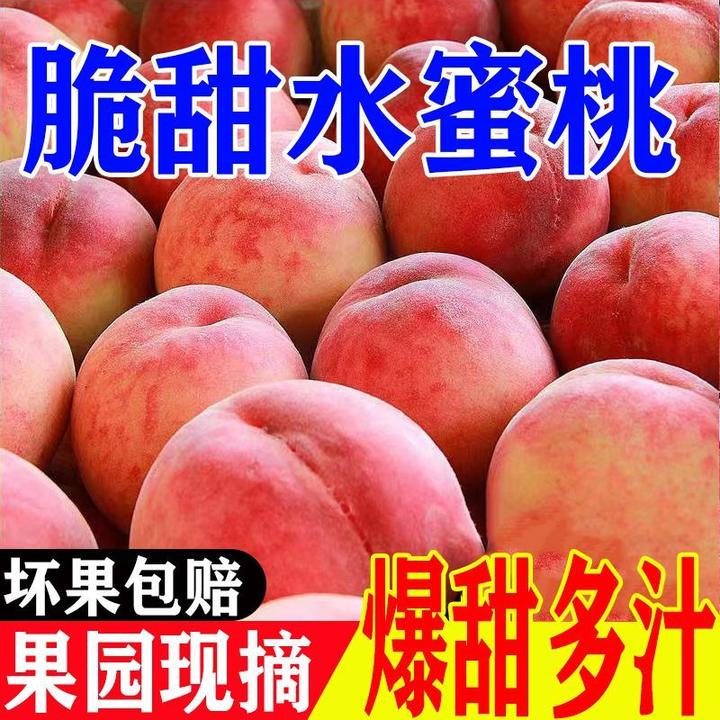 【爆甜多汁】特大果爆甜桃子水蜜桃毛桃现摘脆桃脆甜蜜桃整箱
