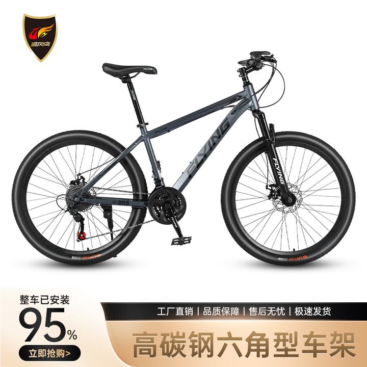 追风鸟变速男女通用变速山地车轻便减震青少年自行车