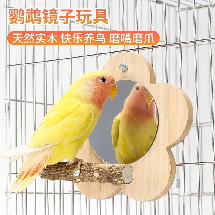 【宠大条】鹦鹉花椒木站架镜子虎皮牡丹玄凤啃咬棒小站台鸟笼站架杆