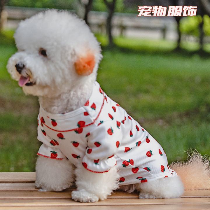 夏季宠物狗狗猫咪薄款透气打底衫衣服外套比熊中小型外出遛狗服装