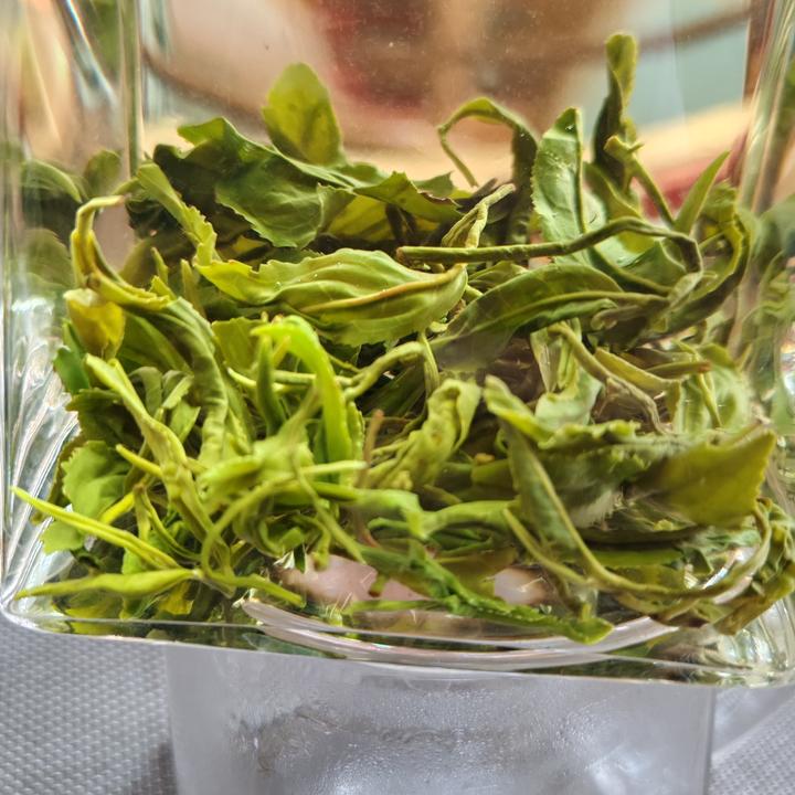 日照绿茶春茶2025五月初鲜香板栗香耐冲泡日照绿茶新茶2025新茶