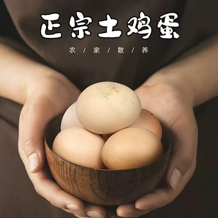 农家散养正宗新鲜健康五谷喂养土鸡蛋