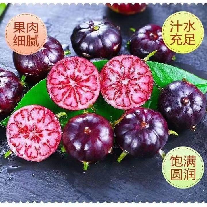 {鲜果尝鲜}云南红果参蜘蛛果新鲜当季水果酸甜可口现摘现发