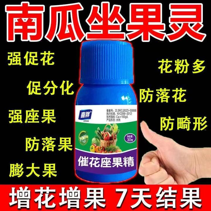 南瓜授粉坐果精南瓜授粉药南瓜授粉坐果灵催花膨果药催花授粉