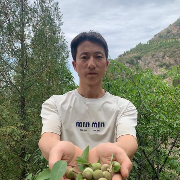 深山新货山桃核毛桃核种子手串工艺品雕刻原料颈椎枕拍打袋填充