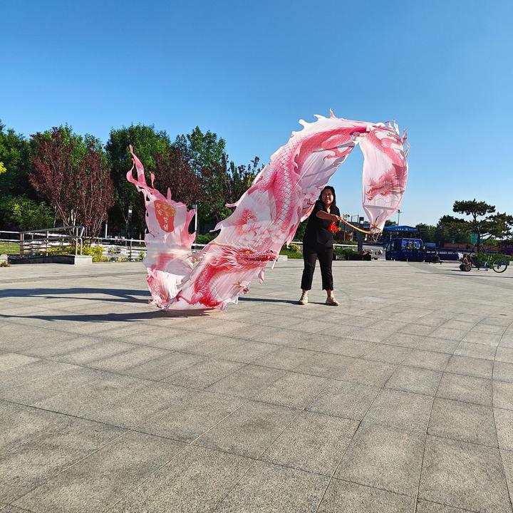 广场彩带颜色靓丽钢架头中老年表演舞龙道具