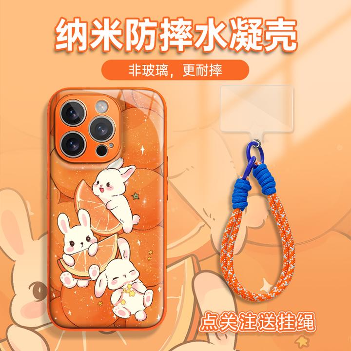 适用于苹果16/17华为OPPO小米VIVO流行简约LJ水凝手机壳AM1086