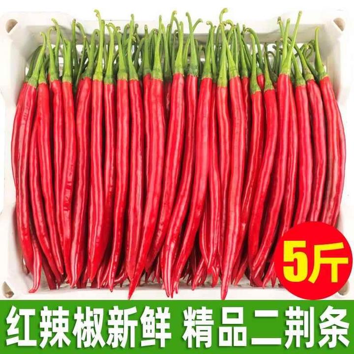 新鲜红椒现摘现发红线椒二荆条红辣椒中辣农家自种5斤3斤剁椒泡酱