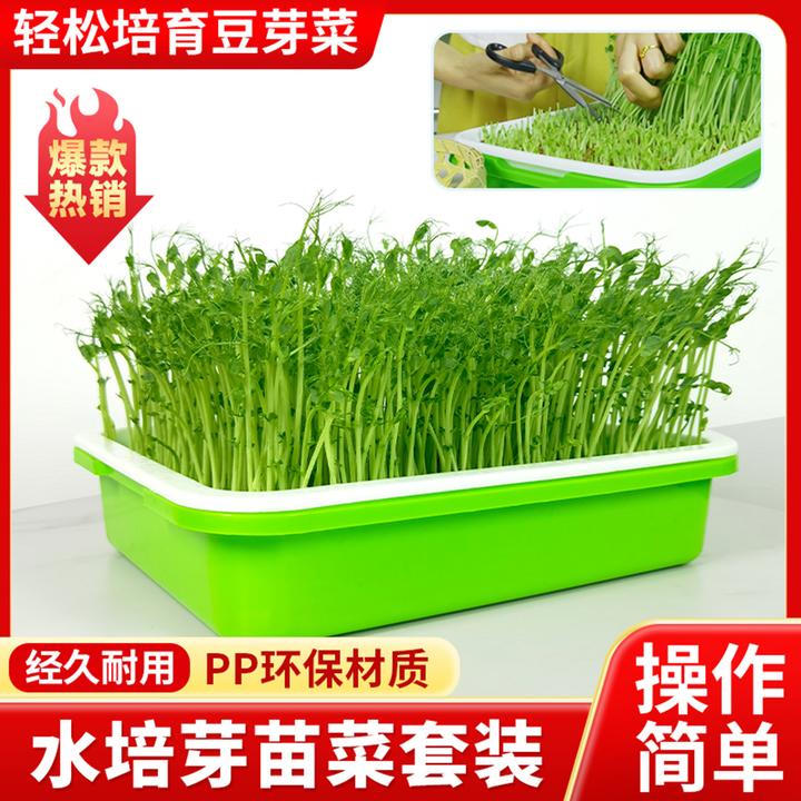 育苗盘水培蔬菜器皿芽苗菜种子豆芽加厚发芽盆神器无土栽培育苗架