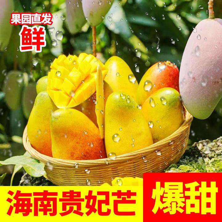 【海南直发】海南贵妃芒果3/5/10斤树上成熟当季新鲜水果A级贵妃芒