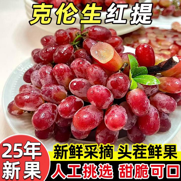 顺丰包邮 克伦生无籽葡萄 新鲜当季热卖水果现摘脆甜多汁红提提子