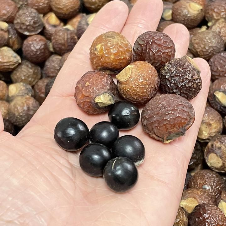 山地老树带皮无患子菩提原料手工DIV500克重混装不是绿化带所捡