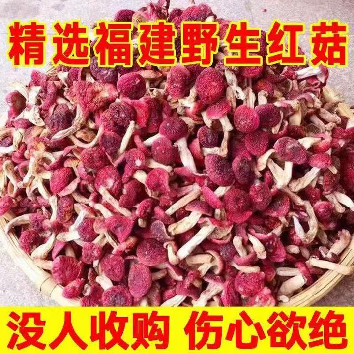 红菇福建野生500g蘑菇生野菌菇干货云南红菇红椎菌红姑菌菇类干货