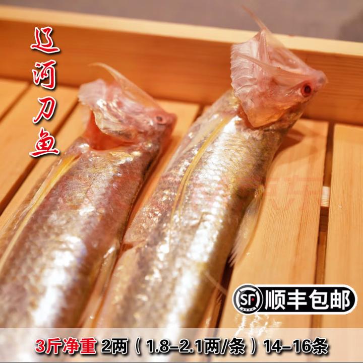 盘锦特产辽河刀鱼新鲜冷冻 海刀鱼带鱼3斤礼盒装春节礼品顺丰包邮