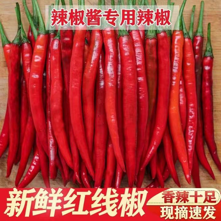 红辣椒新鲜中辣红辣椒辣椒酱泡椒蔬菜微辣红线批发辣椒火锅辣椒酱