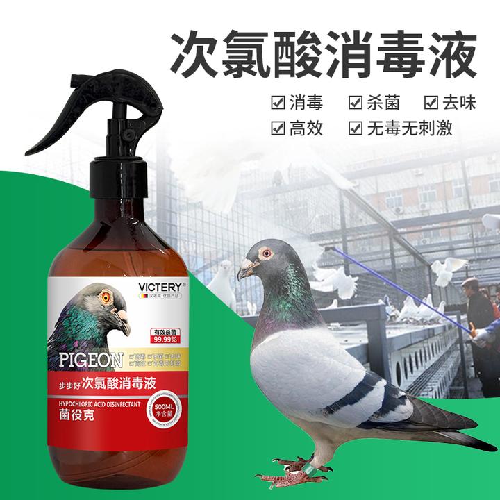 鸽子鸽舍消毒液消毒杀菌菌疫克次氯酸消毒剂水安全鸟笼专用非鸽药