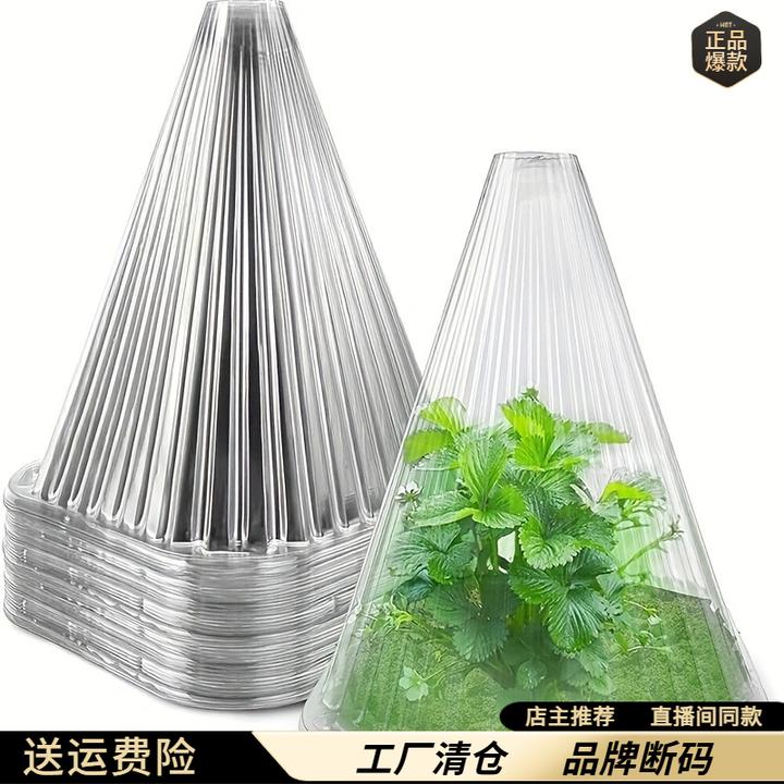 植物保温罩植物育苗罩闷养罩钟罩锥形绿色植物罩植物幼苗防风罩