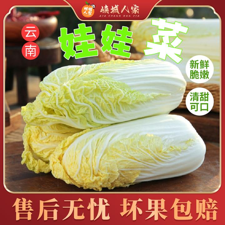 【峡城人家】云南娃娃菜5斤新鲜的黄心菜火锅蔬菜小白菜