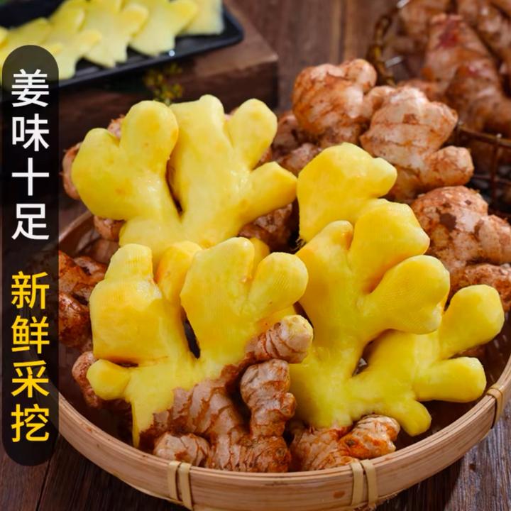 云南小黄姜老姜生姜新鲜黄姜子姜嫩姜鲜姜小黄姜