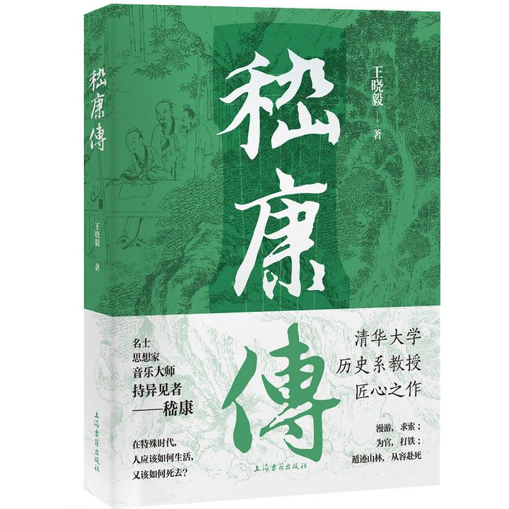 嵇康传（清华大学历史系教授王晓毅的匠心之作，重读嵇康