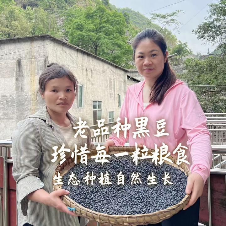 广西大山农家自种营养高肾形新豆黑饭豆老品种黑豆