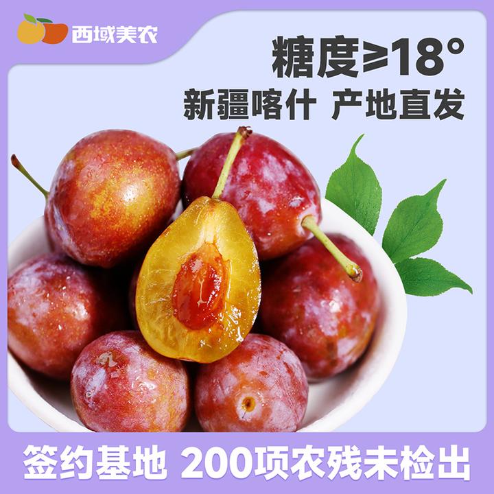 【漠叔专属】西域美农新疆伽师法兰西西梅3斤装 鲜甜多汁 多仓发货
