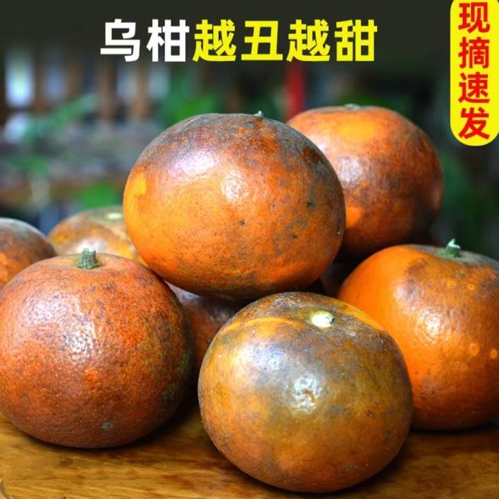 【9斤】云南乌沃柑花皮柑爆甜多汁水果维生素c沃柑大果酸甜多汁沃柑