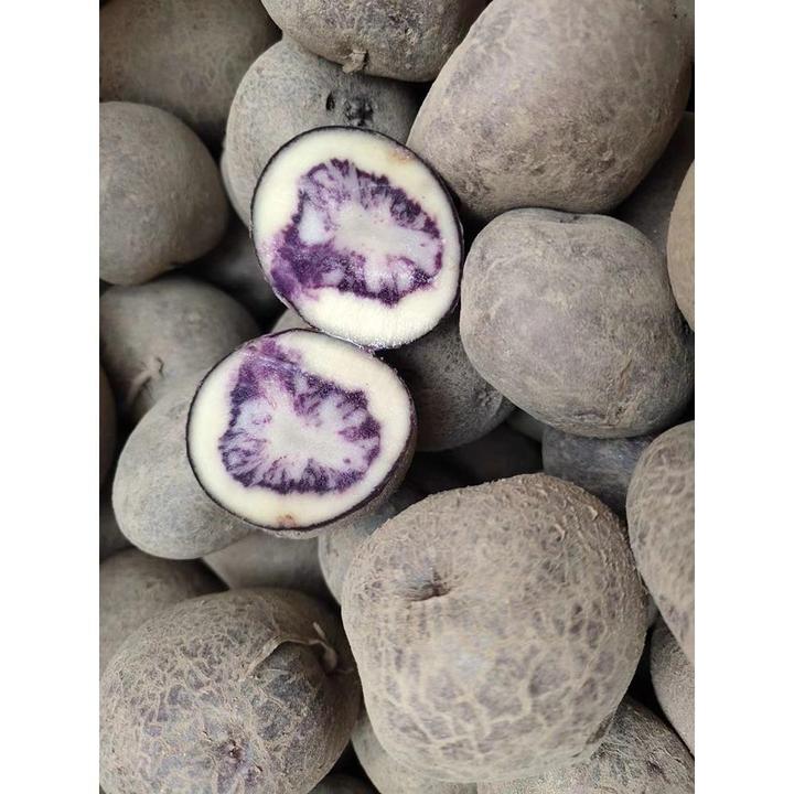 四川大凉山会东布拖七彩乌洋芋装 新鲜紫色皮心小土豆高农家