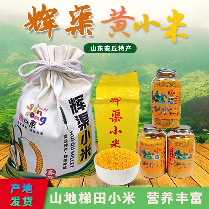 [山东安丘] 山东辉渠黄小米 安丘特产 山区农家梯田小米