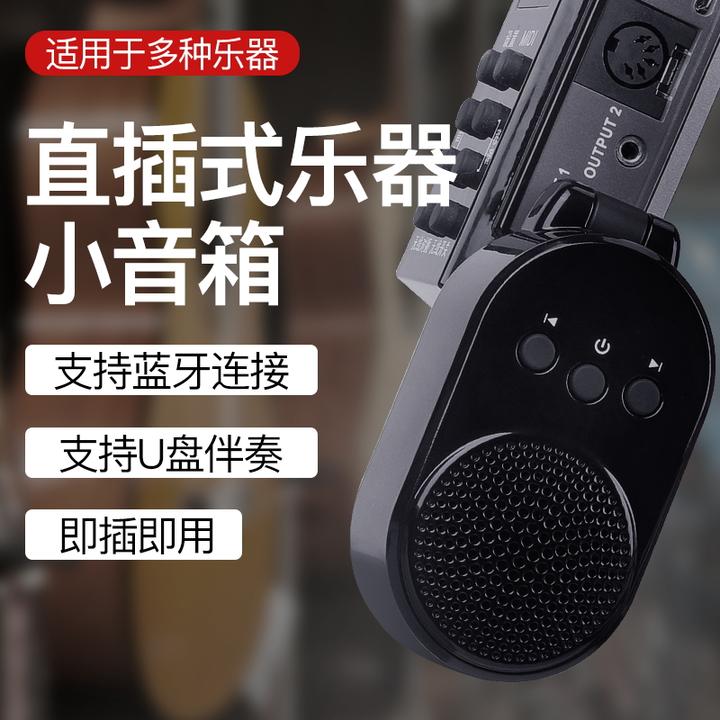 电吹管直插式小音箱扩音器电吹管专用音箱蓝牙伴奏U盘便携式音响