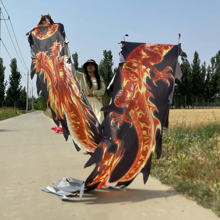 格曼新款全套烈焰神龙钢架镂空龙头舞龙