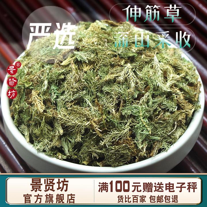伸筋草中药材舒筋草申筋草生筋草茶非粉野生伸筋草泡脚透骨草正品
