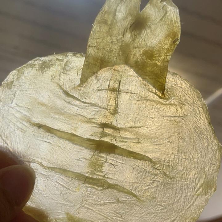 蜘蛛胶片甲肚鱼胶甲肚胶甲肚片花胶鱼胶Q弹厚肉不腥滋补佳品26头