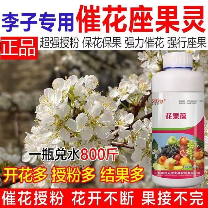 授粉座果精无需沾花催花座果灵果树授粉药瓜果蔬菜保花保果防落素