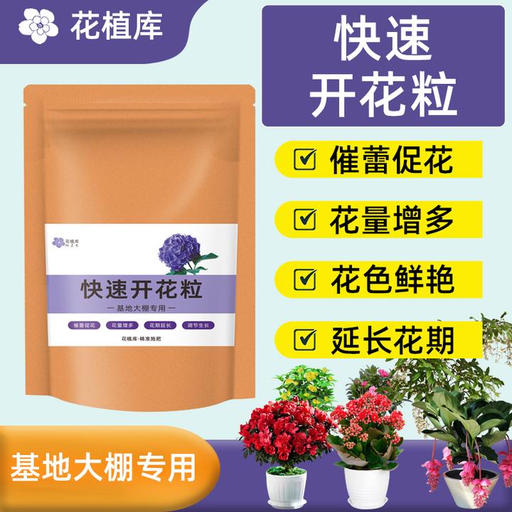大袋装【快速开花粒】三角梅开花肥料君子兰专用肥兰花蟹爪兰长寿花