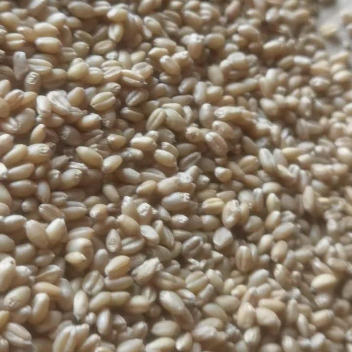 镇雄本地麦子面粉