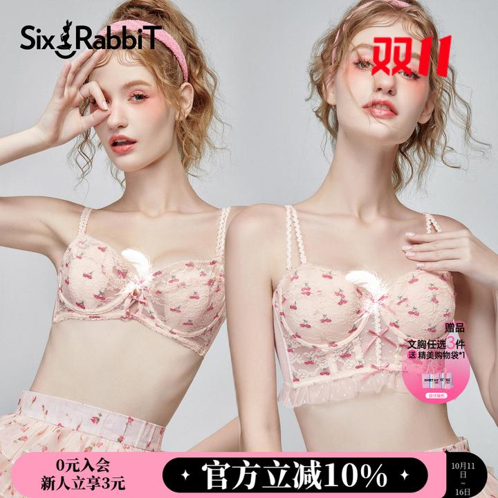 六只兔子薄款蕾丝性感内衣大胸显小樱桃刺绣舒适小胸聚拢型文胸女