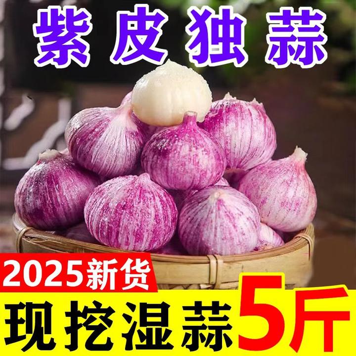 紫皮独头蒜新鲜红皮农家独蒜批发大蒜头新晒干蒜农家蔬菜包邮