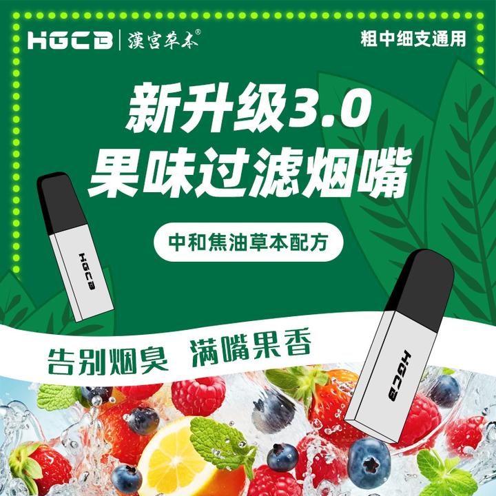 汉宫草本水果味过滤烟嘴清新口气金属高档粗中细通用过滤嘴新款