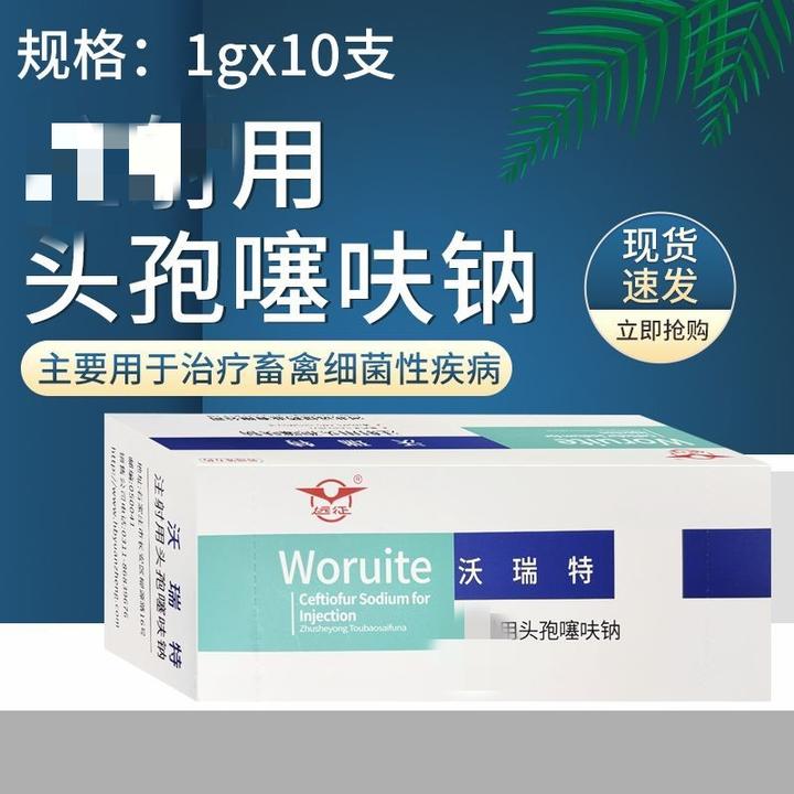 远征 沃瑞特头孢噻呋钠1g猪牛羊犬治疗畜禽细菌性疾病正品保证