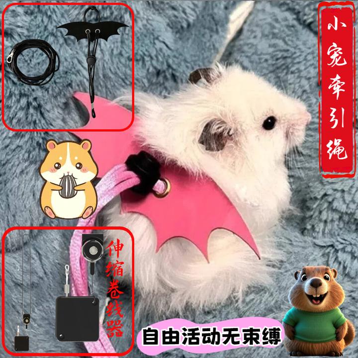 小宠宠物鼠兔蜥蜴胸背牵引绳防挣脱设计透气减震 防爆冲训练款