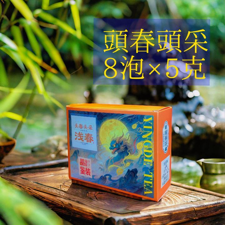 【浅春】头春头采英红九号 清香型英德红茶明前春茶顺滑甜招牌