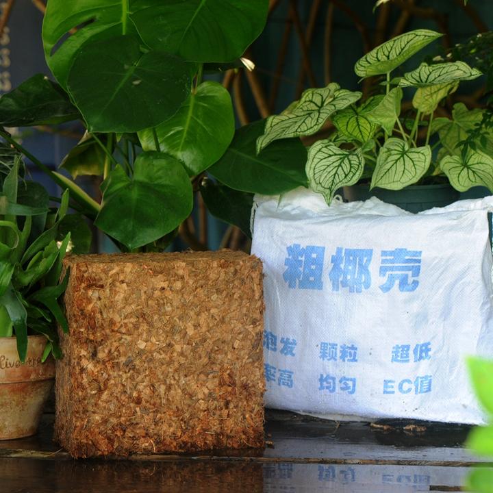 粗椰壳无杂质颗粒均匀低盐