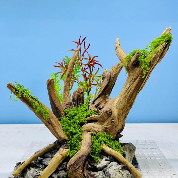 鱼缸造景骨架，水草缸造景28*16*27