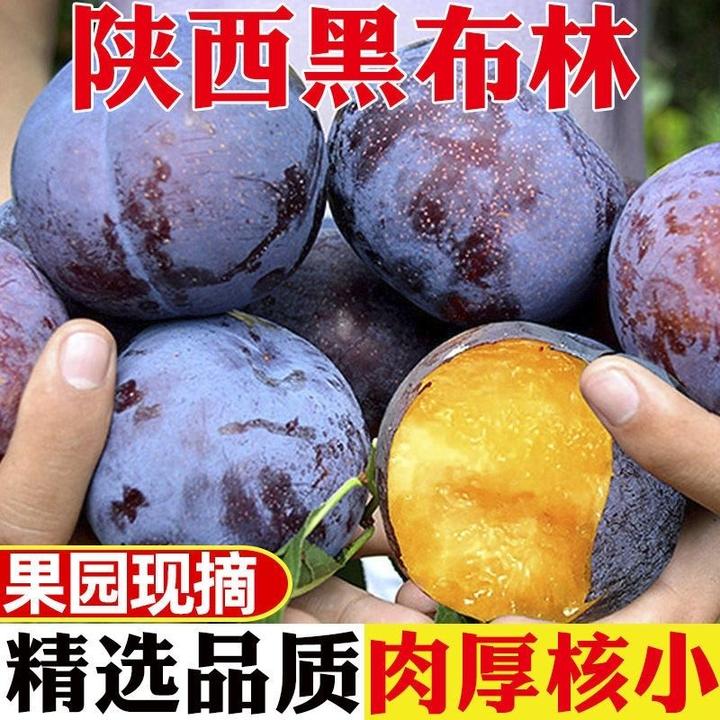 2024陕西黑布林李子新鲜发货孕妇酸甜李子黑布朗黑宝石甜李子整箱
