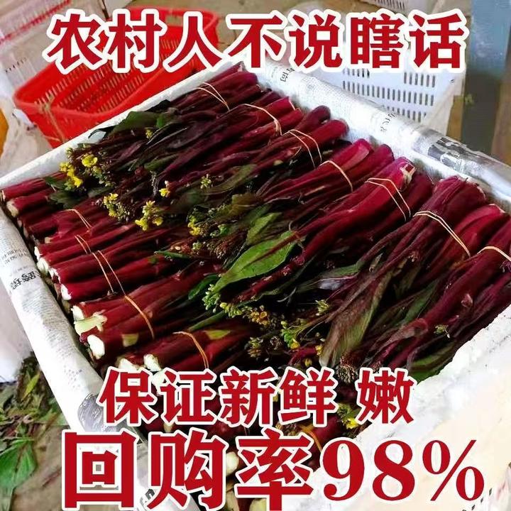 （绿色食品）湖北红菜苔农家自种露天菜红子现摘清甜脆嫩2斤4斤