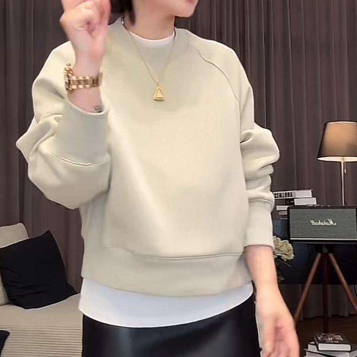 设计感侧边拉链圆领卫衣女秋冬2024新款显瘦时尚休闲纯色长袖上衣